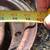 International Harvester 249? corn planter parts 13 thumbnail