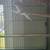 Bird 2 thumbnail