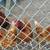 Chickens 1 thumbnail