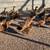 Duck Hens 5 thumbnail