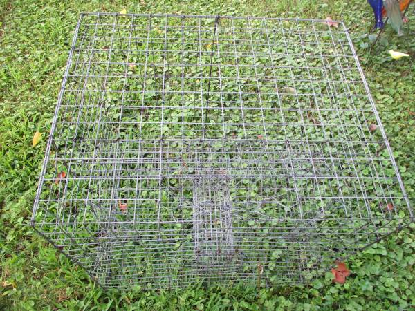 CRAB POT 1