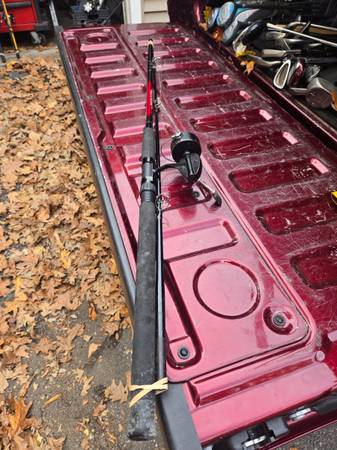 Mitchell 300 8' spinning rod will separate 1