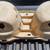 1970-1973 Camaro Tail Light Assemblies 5 thumbnail