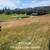 Remote control Mower - Hiraitora 6 thumbnail