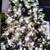 8 foot pre lit Christmas tree 2 thumbnail