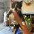 Kittens 2 thumbnail