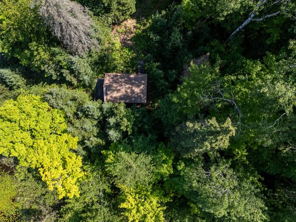 $83,900 / 283140ft2 - 6.5 Acres of Pure Serenity on Chaney Lake! (Bessemer)64151610588417124