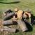 Free firewood - 3 piles 3 thumbnail