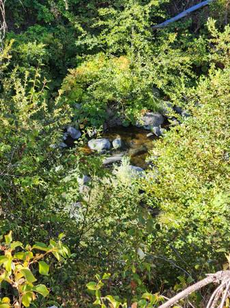 $100,000 Creekfront Parcel Build Ready (Lakehead)63972531106819123