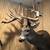 262 inches of antlers new Whitetail Mount 1 thumbnail