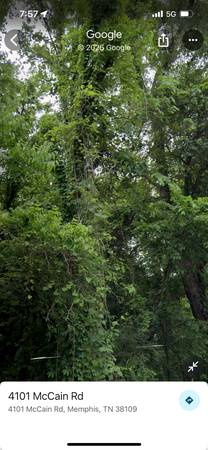 Free Oak & Hardwood 1