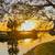 SELLER MOTIVATED-REMODELED 3/2/2 Separate 1/1 in law 2 gar+ workshop!! 24 thumbnail