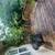 🏠Balto COUNTY!! Nottingham Beautifully Maintained Single-Family Home 13 thumbnail