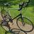 Specialized Sequoia Elite Road Bike 3 thumbnail