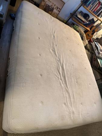 Avocado Mattress Organic Cotton 1