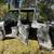 2020 Polaris Ranger XP1000 crew cab 7 thumbnail