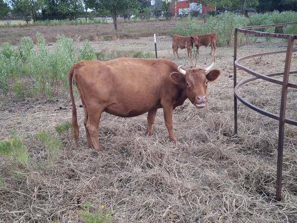 Downsizing farm 1