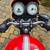 2012 Triumph Thruxton - Fully serviced. Low miles 8 thumbnail