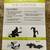Swagman Platform Hitch Rack - The Chinook 5 thumbnail