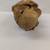 Antique German Hand Carved Wooden Statue of Monk/Friar Drinking Wine 6 thumbnail