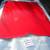 Front bonnet Ferrari 308 1 thumbnail