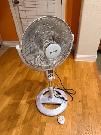 Radiant oscillating dish space heater with remote 1