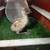 Pre-order Emu Hatching Eggs 2 thumbnail