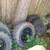 Used ATV Rims Wheels Tires All Makes 5 thumbnail