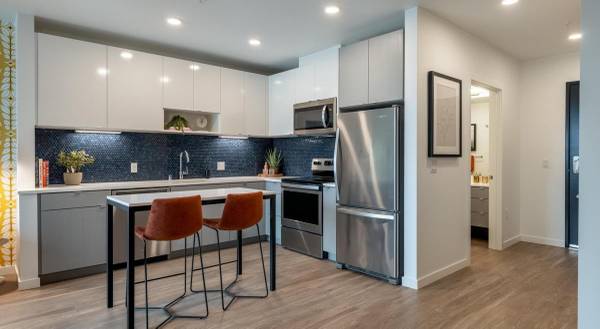 $1,719 / 1br - 589ft2 - Gorgeous 1 BR/1 BA with Quartz Countertops, Skyline Lounge Access! (Central Area)63786613854339122