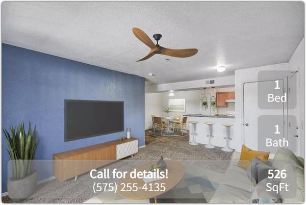 $845 / 1br - 526ft2 - 1 BR / 1 BA great for pets! Pet-Friendly Community in Las Cruces (Las Cruces)63861850538241121