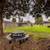 Laundry Facility, BBQ Area, Courtyard, Extra Storage 6 thumbnail