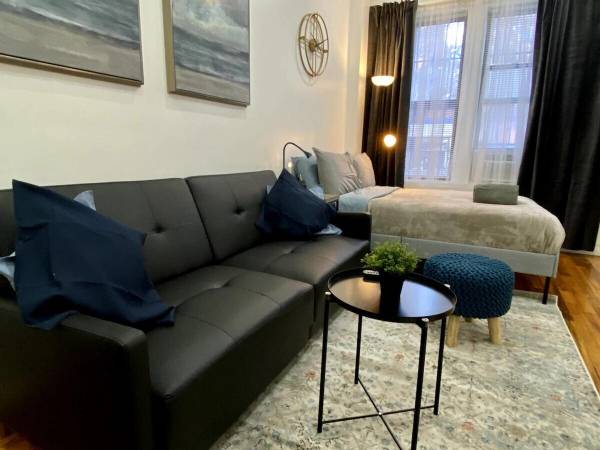$3,500 / 550ft2 - Cozy Fully Furnished Studio Apartment (East Harlem)64033800167683120