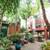 In Seattle, Intercom Access, 1 bedroom 6 thumbnail