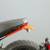 2019 DUCATI Scrambler Icon Includes Warranty! 12 thumbnail