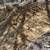 Paving contractor service & pour concrete install 11 thumbnail