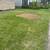 🌳🌲🏡Tree Service,Tree Removal,Stump Grinding,Tree Trimming 6 thumbnail