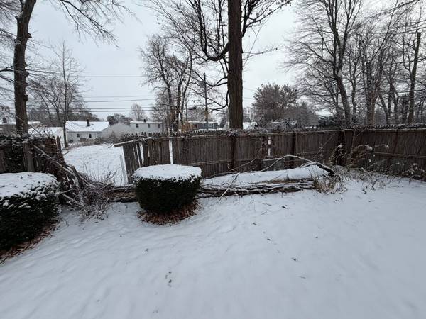 ⚠️ STORM DAMAGE ⚠️ TREE WORK ⚠️ 1