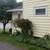 3 Bd/1.5  Single Family Home 5 thumbnail