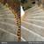 *CARPET, UPHOLSTERY CLEANING/SANITIZING; CARPET REPAIR/RESTRETCHING 15 thumbnail