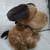 Dog doll 3 thumbnail