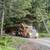 Log truck driver 3 thumbnail