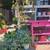 Estate sale - Mission Hills 6 thumbnail