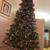 Christmas Tree 12 FT 2 thumbnail