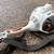 Stihl  Easy2Start™ technology  low-emission KombiMotor KM56RC 2 thumbnail