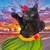 2 spayed black kittens 9 thumbnail