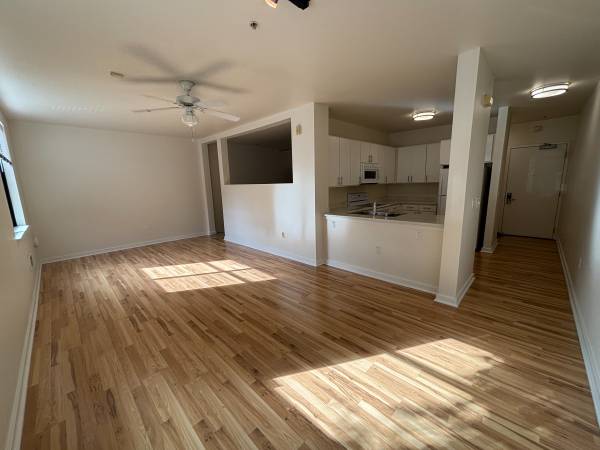 Spacious Studio Apartment in the middle of Oakland Apt 111 1