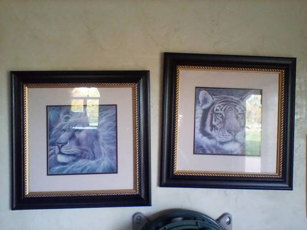 Lion & tiger prints 1