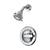 Delta Classic Single-Handle 5-Spray Shower Faucet with Stops 1 thumbnail