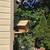 BIRD NESTING HOUSE 3 thumbnail