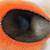 Felt Pet Cave 6 thumbnail